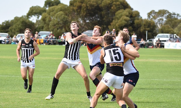 SANFL Preview Crows V Magpies AFC au