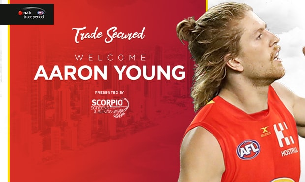Image result for aaron young gold coast