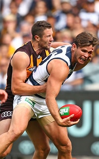 Image result for geelong hawthorn easter