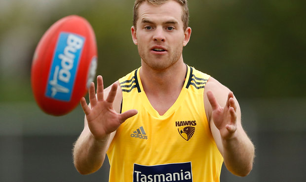 Image result for tom mitchell hawthorn