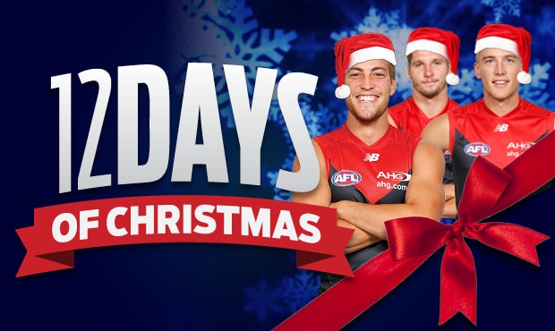 12DaysXmas_Rotate.jpg