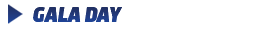 Secondary_Banner_320x40_GalaDay.png