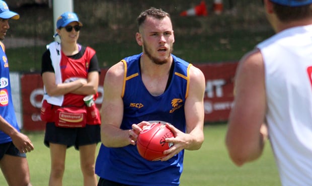 Image result for venables shuey