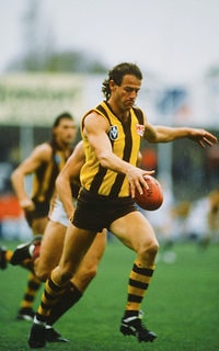 1980's VFL - Hawthorn v Fitzroy