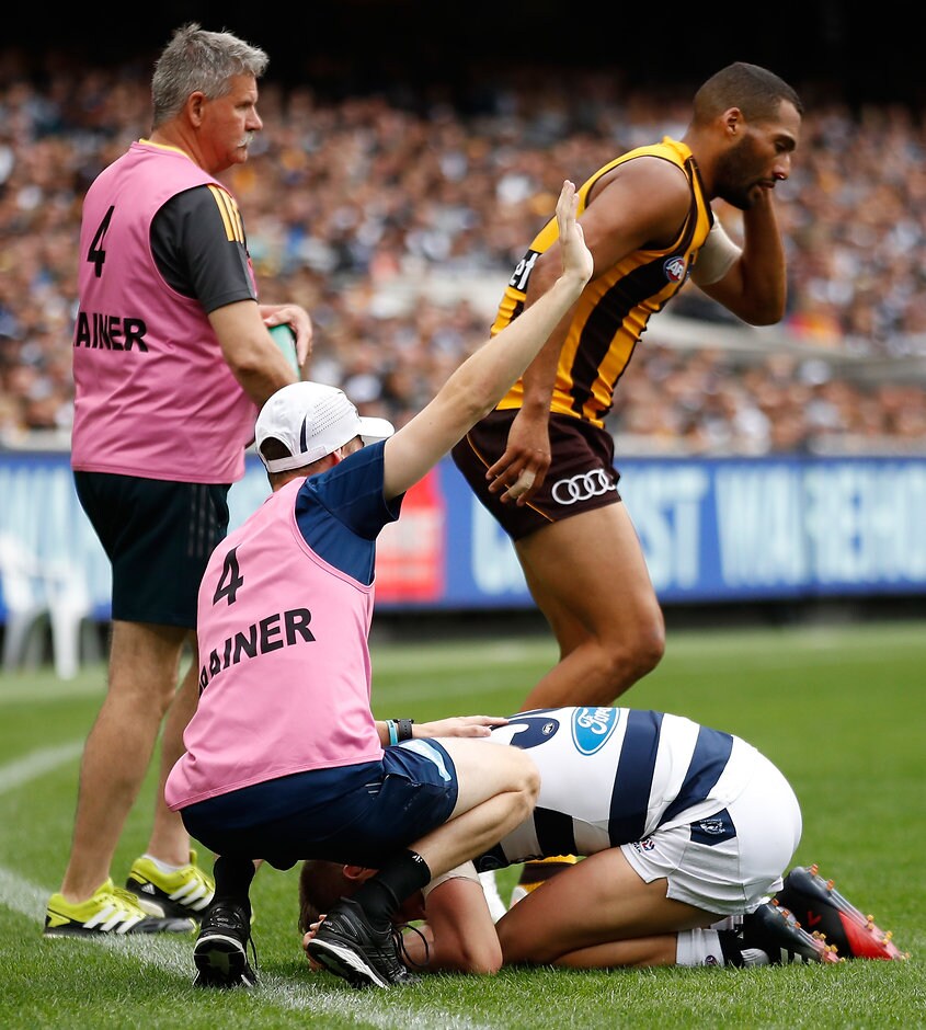 AFL 2017 Round 04 - Hawthorn v Geelong Josh Gibson and Tom Ruggles clash on Easter Monday was looked at by the MRP - ${keywords}