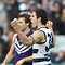 AFL 2017 Round 14 - Geelong v Fremantle