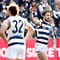 AFL 2017 Round 14 - Geelong v Fremantle
