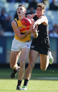 AFL 2017 Round 15 - Carlton v Adelaide