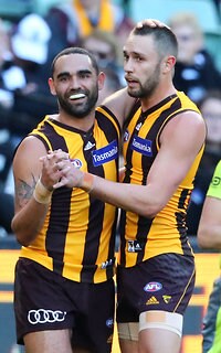 AFL 2017 Round 15 - Hawthorn v Collingwood