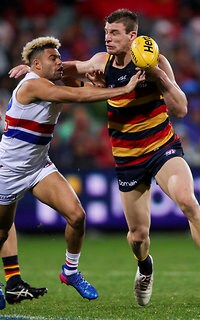 AFL 2017 Round 16 - Adelaide v Western Bulldogs