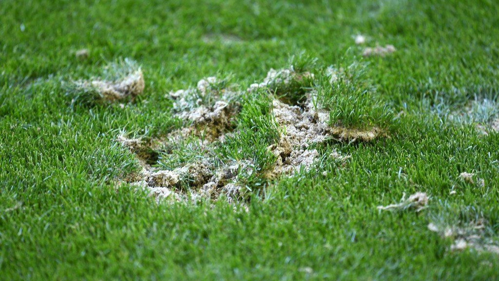 Marvel turf to be replaced, AFLPA to inspect