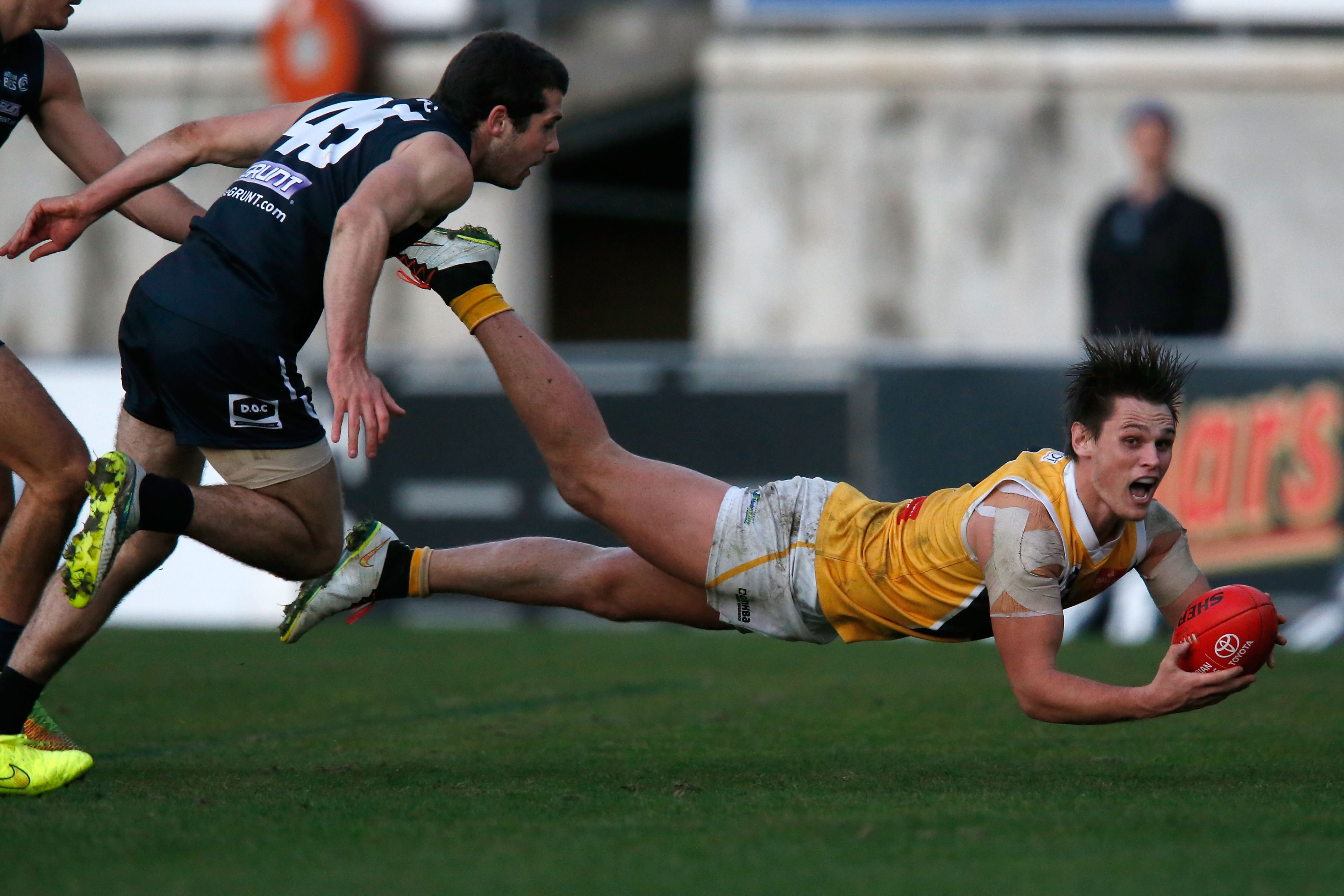 VFL 2015 Rd - Northern Blues v Werribee