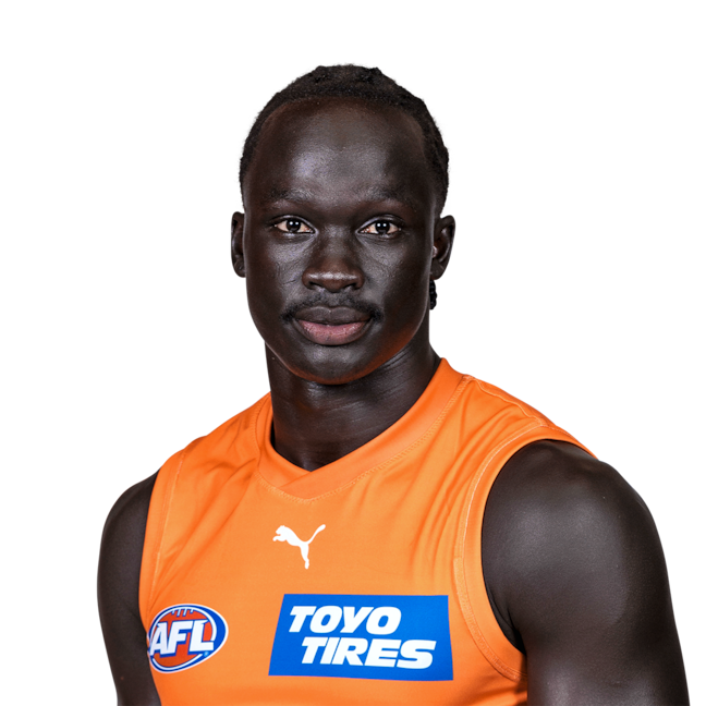 Picture of Leek Aleer