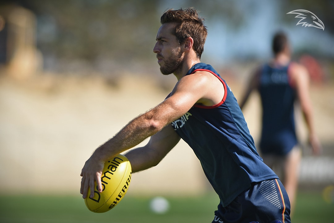 Photos: Crows training hard before Hawthorn in Round One