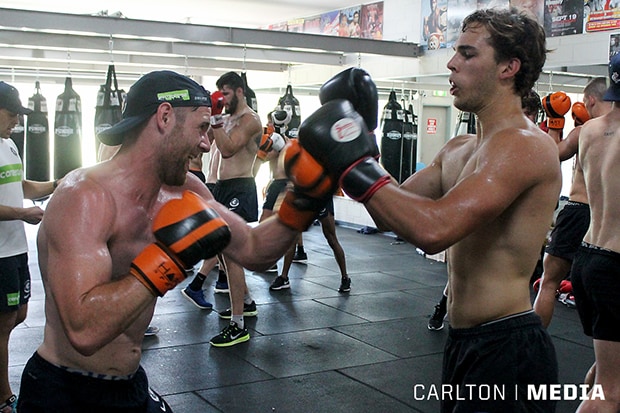 Boxing Docherty Gallery: Blues get in the ring