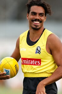 An elevation for Armstrong - collingwoodfc.com.au