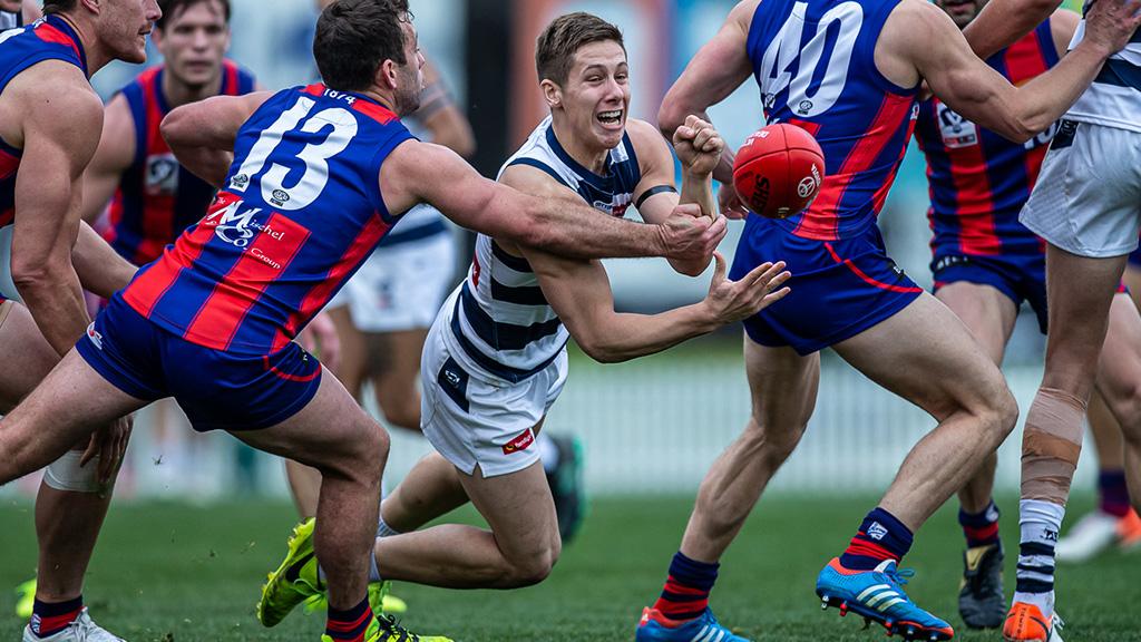 Lachie Fogarty in action against Port Melbourne in round 18. - Geelong Cats