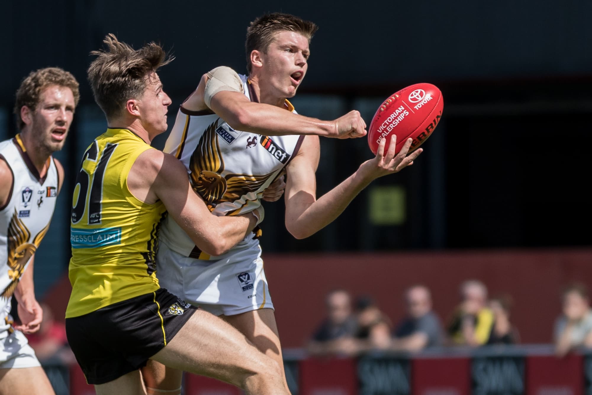 Young Hawks strong in VFL loss - hawthornfc.com.au