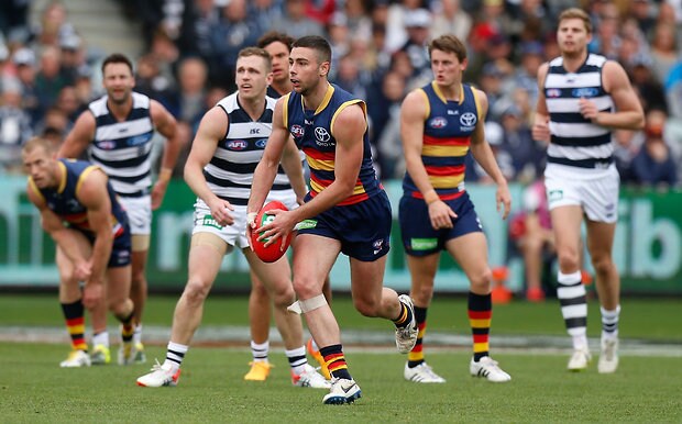 AFL 2015 Rd 23 - Geelong v Adelaide - AFL.com.au