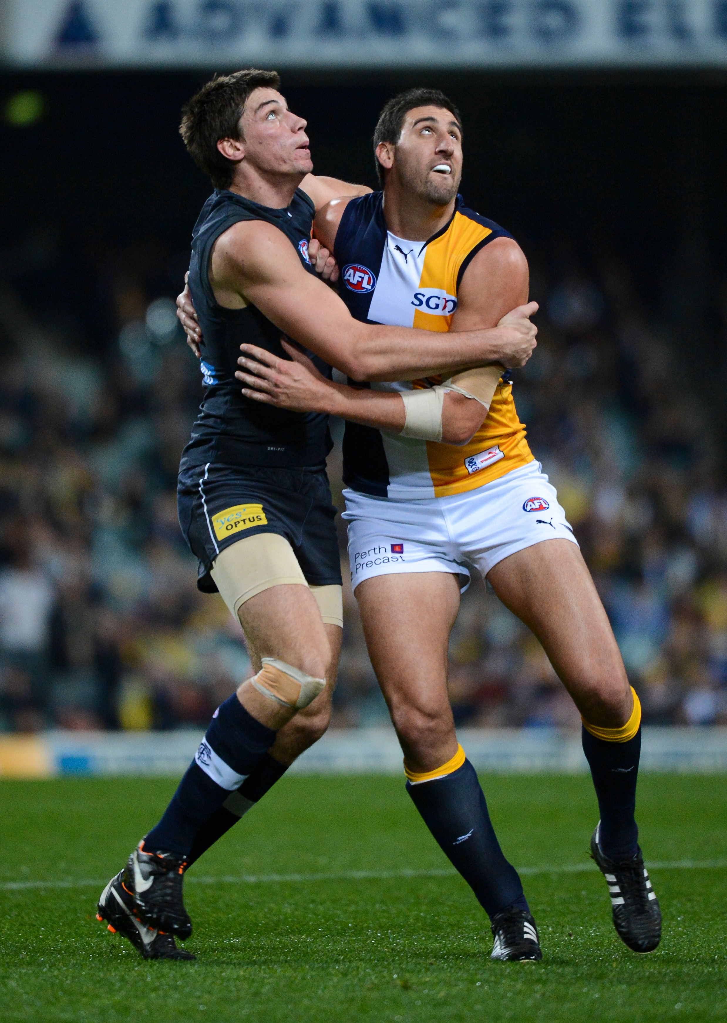 Preview: Eagles v Blues - AFL.com.au