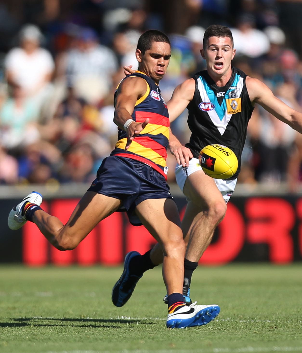 Crows upgrade electrifying small forward Cameron