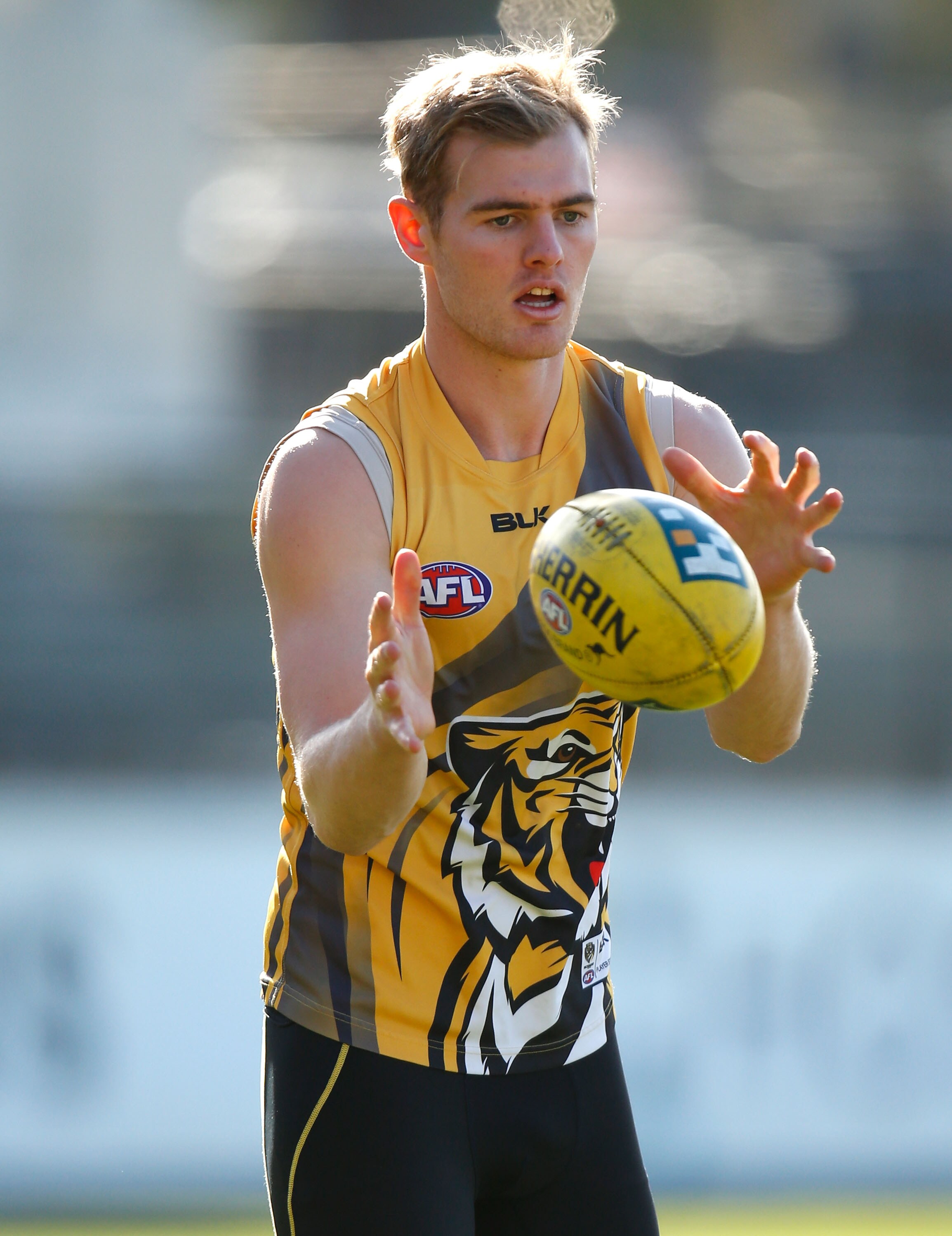 Luckless Tiger David Astbury tells of stingray pain - AFL.com.au