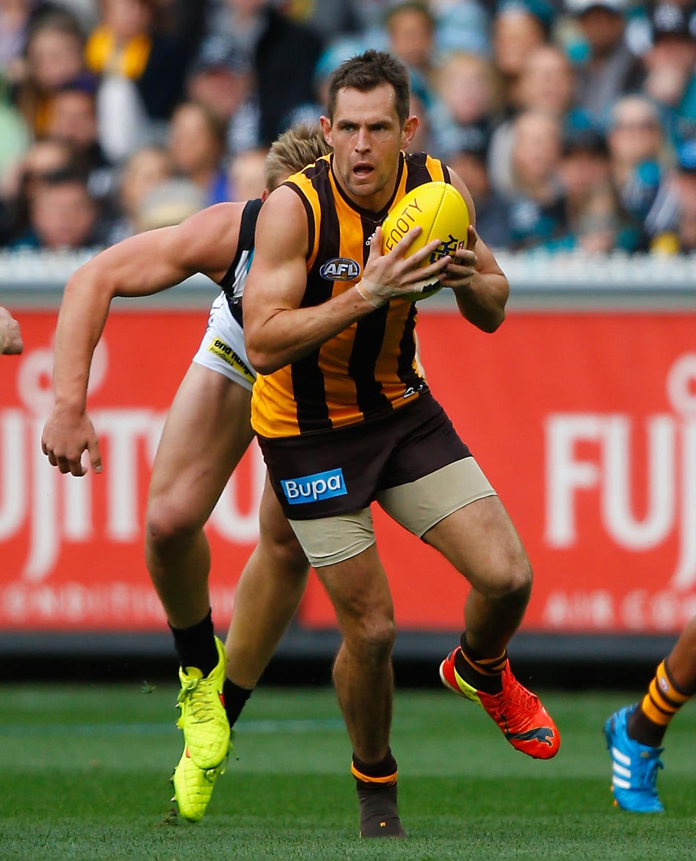 Every Hawk rated from the second preliminary final - AFL.com.au