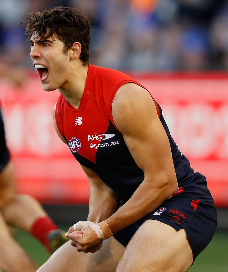 Season Review: Melbourne - Afl.com.au