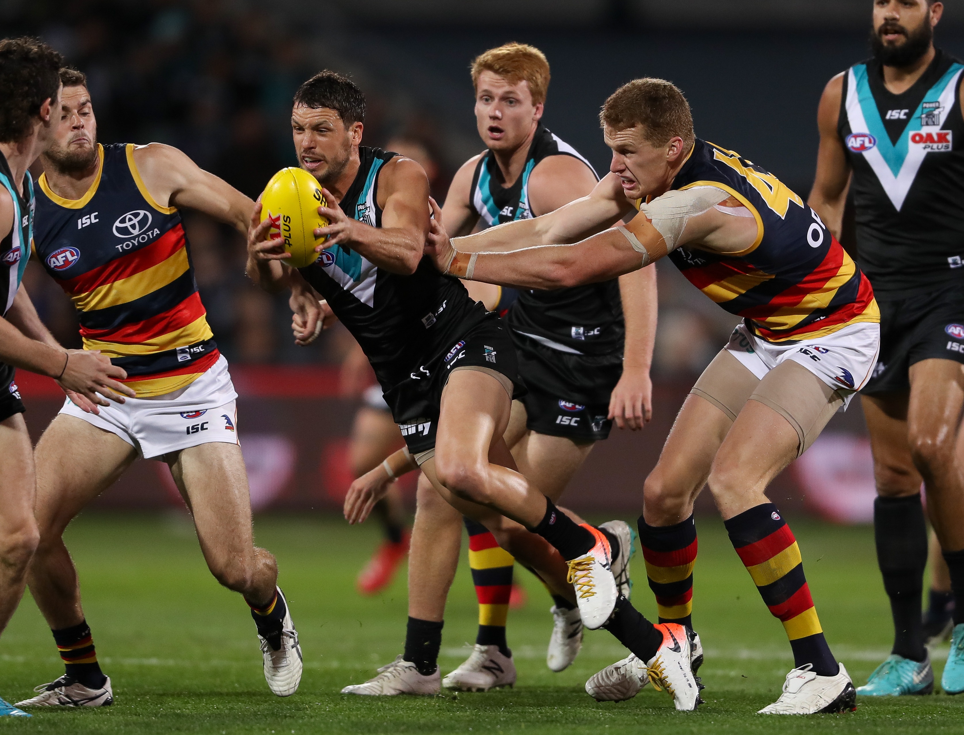 Dale Lewis: the biggest surprise of 2019