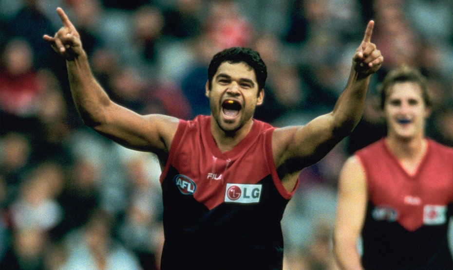 Image result for lg melbourne demons