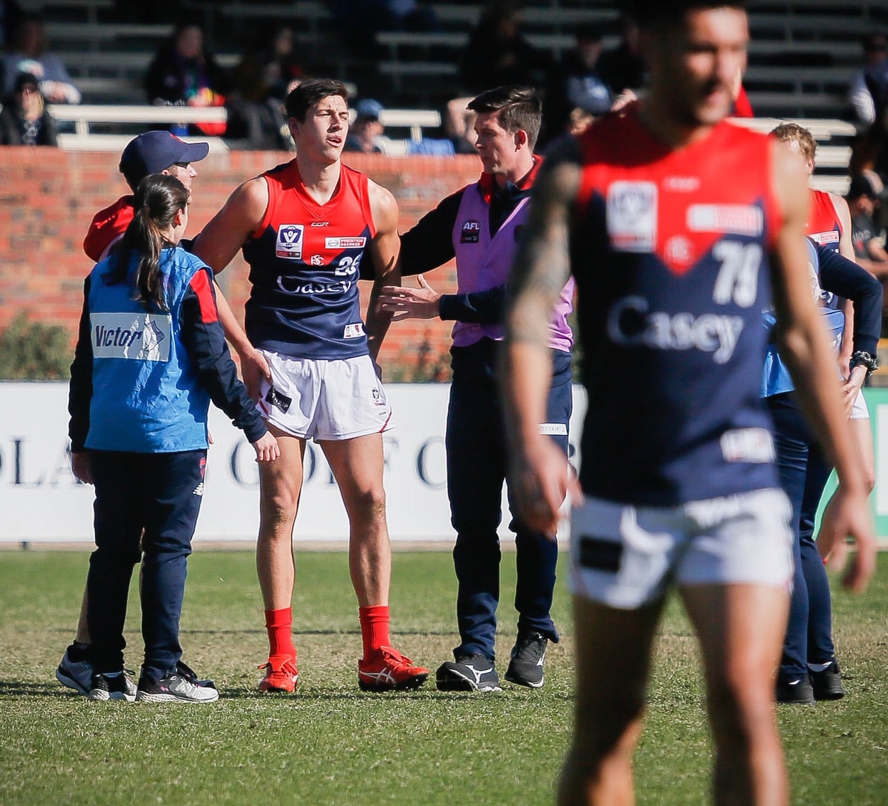 Four Demons return from injury via VFL