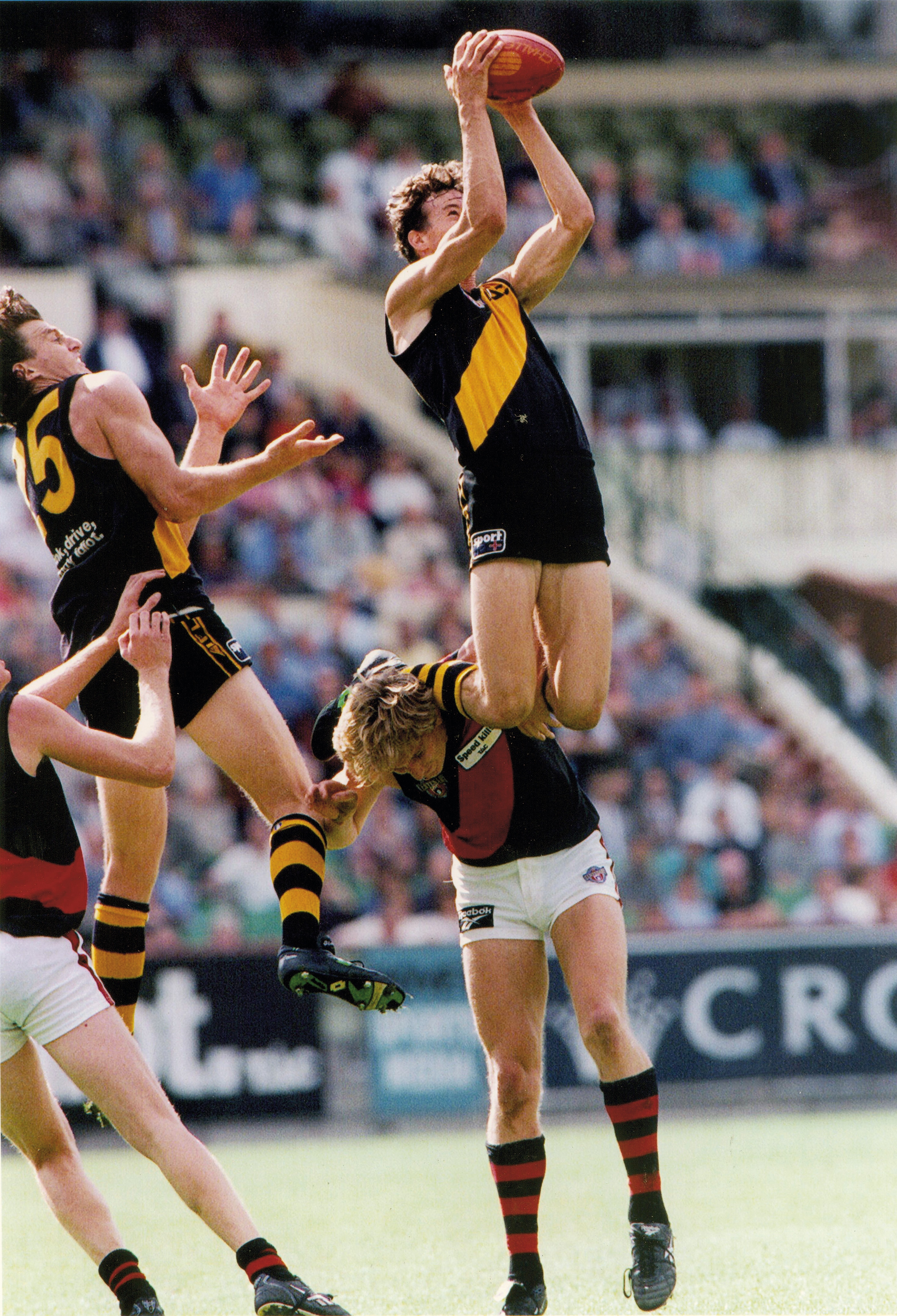 Yellow and Black Photo Flashback: #24