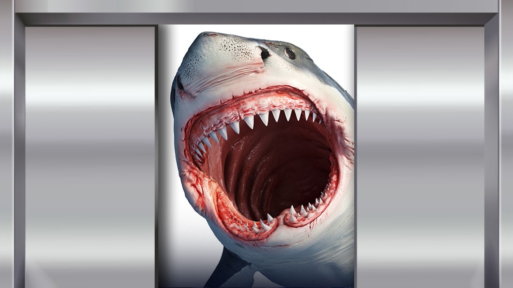 Sliding Doors IF you hear the Jaws music THEN