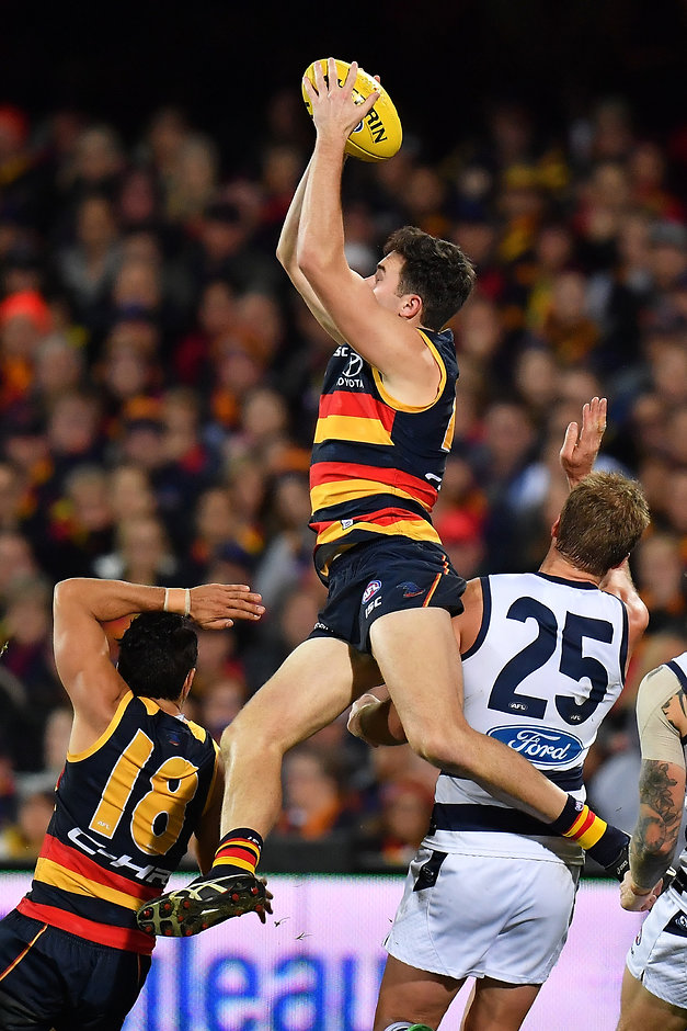 McGovern earns Mark of the Year nomination