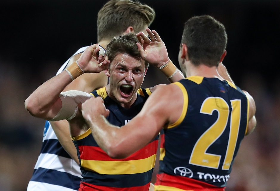AFL 2017 First Preliminary Final - Adelaide v Geelong Matt Crouch has been crowned Adelaide's 2017 Club Champion - Adelaide Crows
