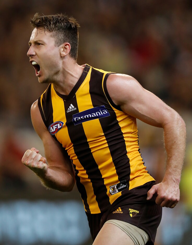 AFL 2018 Round 01 - Hawthorn v Collingwood MELBOURNE, AUSTRALIA - MARCH 24: Liam Shiels of the Hawks celebrates a goal during the 2018 AFL round 01 match between the Hawthorn Hawks and the Collingwood Magpies at the Melbourne Cricket Ground on March 24, 2018 in Melbourne, Australia. (Photo by Michael Willson/AFL Media)