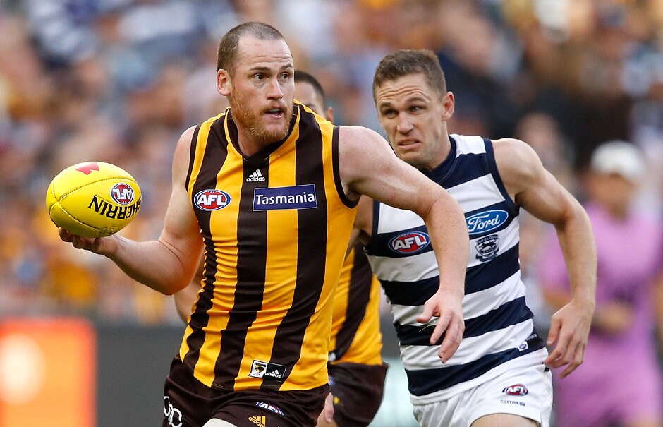 AFL 2018 Round 02 - Geelong v Hawthorn The Hawks have been dealt a late blow with Jarryd Roughead out of today's match - Geelong Cats