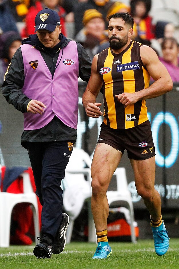 AFL 2018 Round 04 - Hawthorn v Melbourne Paul Puopolo injured his hamstring against the Demons - AFL,Hawthorn Hawks,Cyril Rioli,Paul Puopolo,Injuries