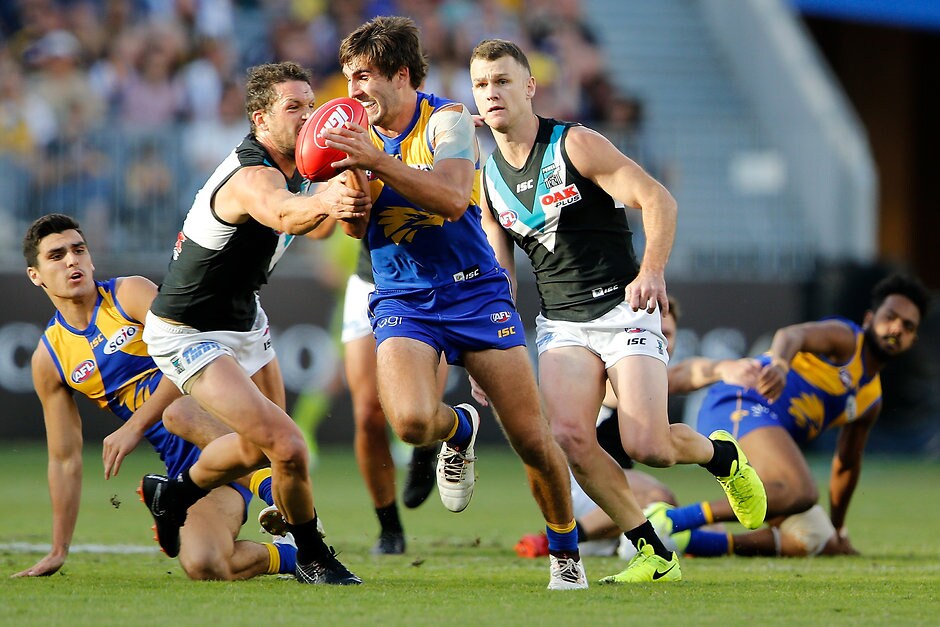 Opposition watch: West Coast Eagles - portadelaidefc.com.au