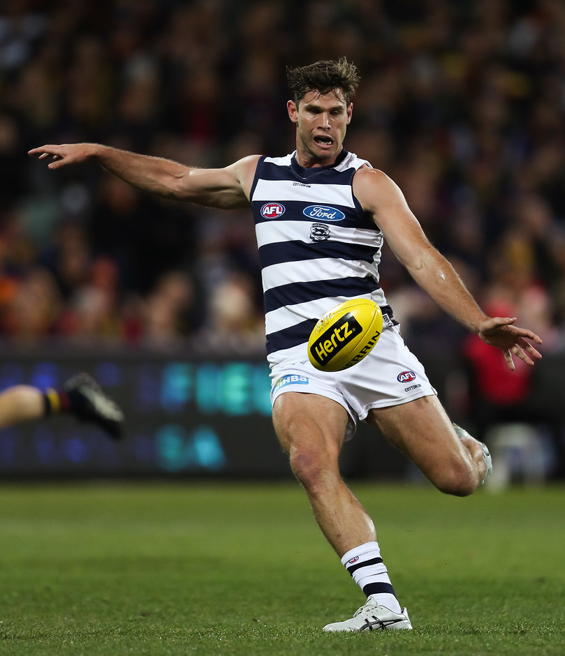 AFL 2018 Round 17 - Adelaide v Geelong Tom Hawkins "had his moments" - AFL,Chris Scott,Geelong Cats