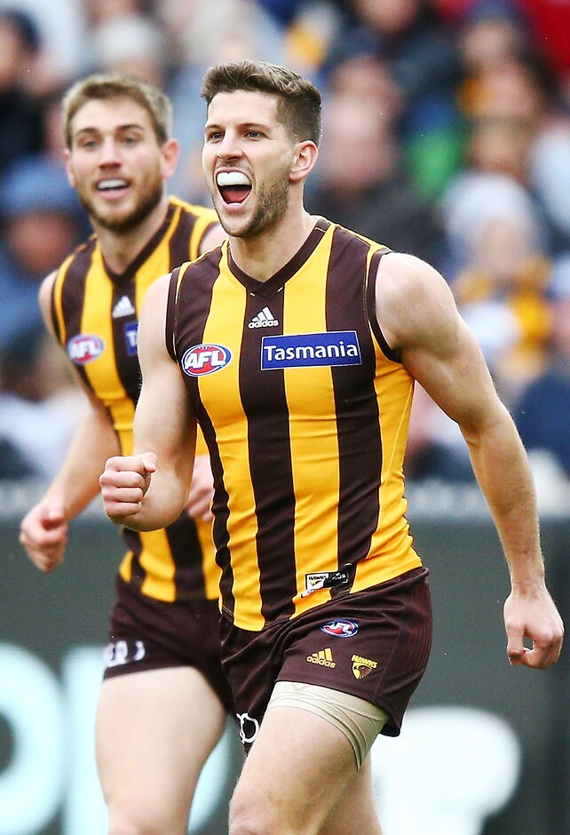 AFL 2018 Round 21 - Hawthorn v Geelong Luke Breust kicked two goals against the Cats - AFL,Hawthorn Hawks,Geelong Cats,MCG