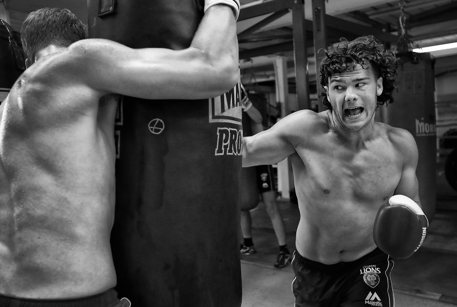 Boxing Lions Amazing photos from Michael Willson