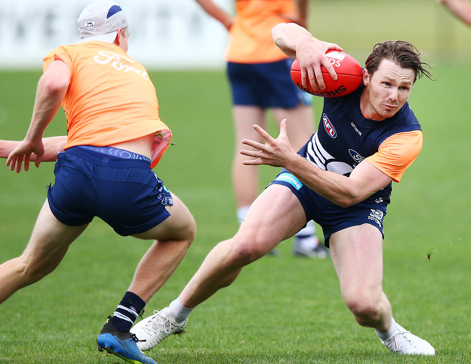 Superstar Cat primed for big 2019 - geelongcats.com.au