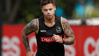 Collingwood Fantasy: Prices, locks, bargains, who to avoid