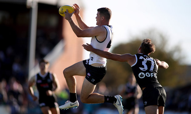 AFL 2019 Media - Port Adelaide Intra Club and Family Day