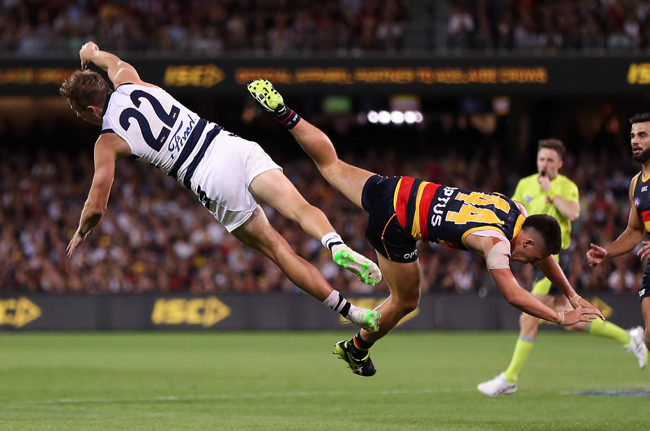 AFL 2019 Round 03 - Adelaide v Geelong ADELAIDE, AUSTRALIA - APRIL 04: Mitch Duncan of the Cats clashes with Lachlan Murphy of the Crows during the 2019 AFL round 03 match between the Adelaide Crows and the Geelong Cats at Adelaide Oval on April 04, 2019 in Adelaide, Australia. (Photo by AFL Photos)