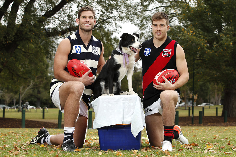 AFL 2019 Portraits - Powercor Country Festival Record Shoot Powercor will continue to headline the Country Festival played between the Cats and Bombers. - Geelong Cats