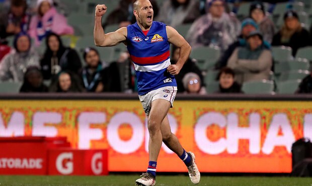 AFL 2019 Round 15 - Port Adelaide v Western Bulldogs