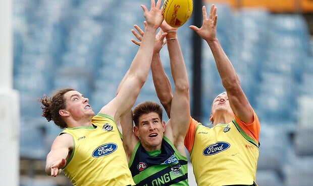 AFL 2019 Training - Geelong 070819