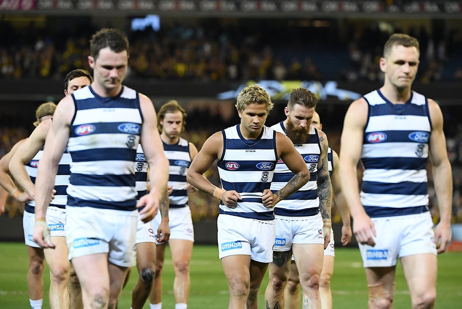 Geelong season review